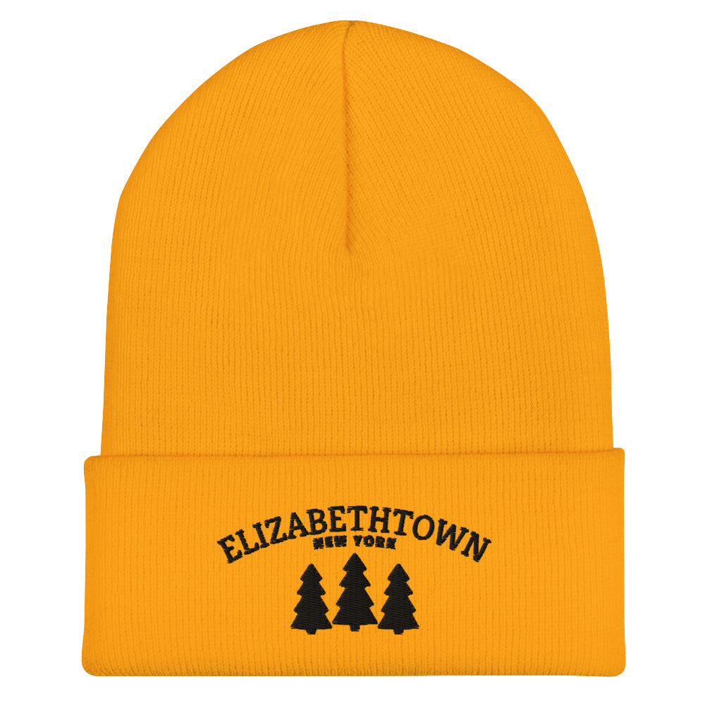 Elizabethtown, NY Tree Beanie