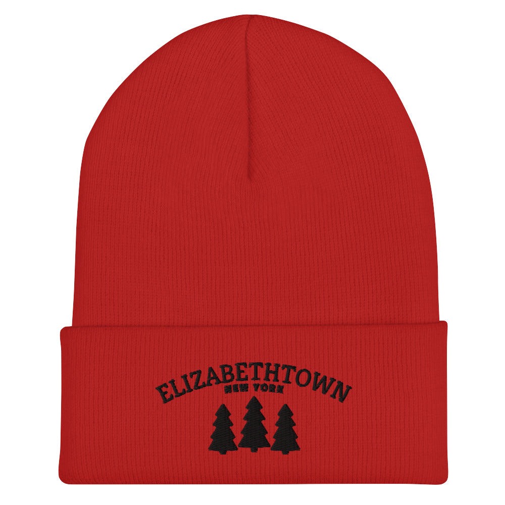 Elizabethtown, NY Tree Beanie