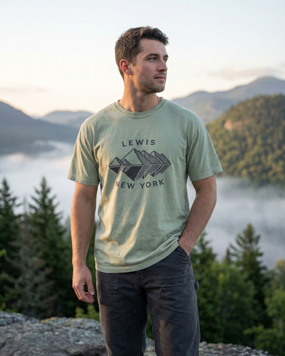 Lewis-10 Unisex garment-dyed heavyweight t-shirt