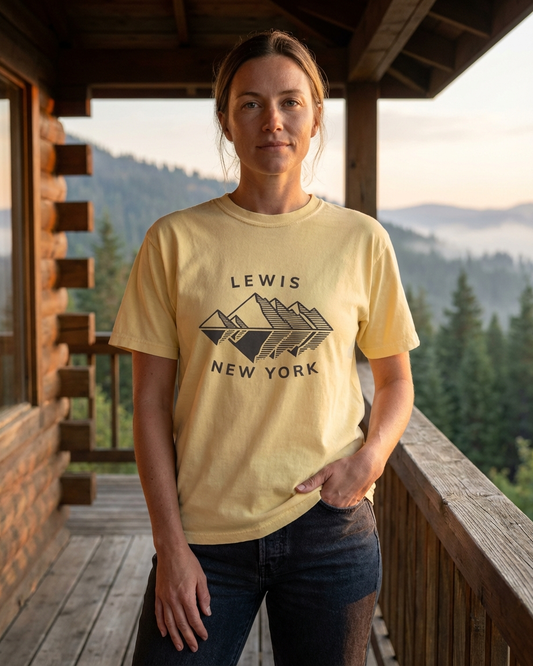 Lewis-10 Unisex garment-dyed heavyweight t-shirt